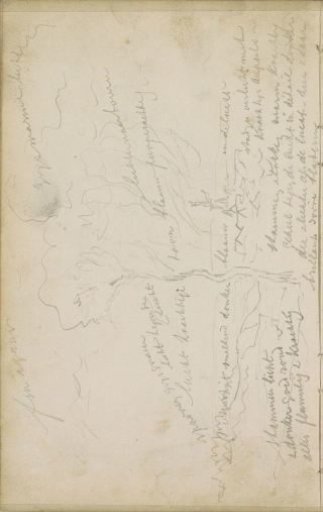Landscape with trees