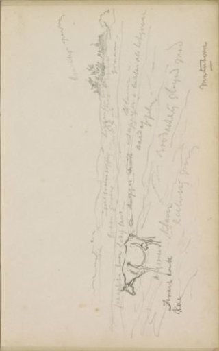 Landscape at Materborn with a grazing cow