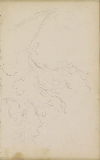 Study