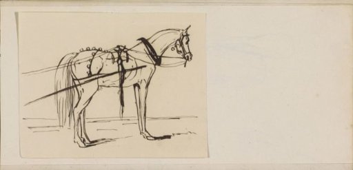 Horse with saddle and bridle