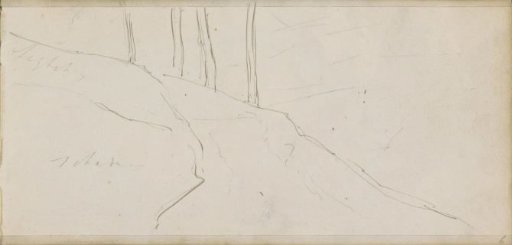 Trees on a hill