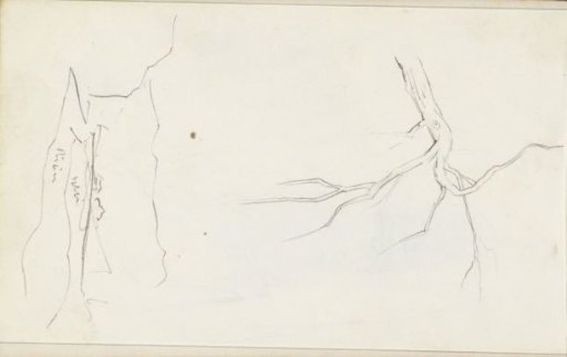 Branch of a tree and a river landscape