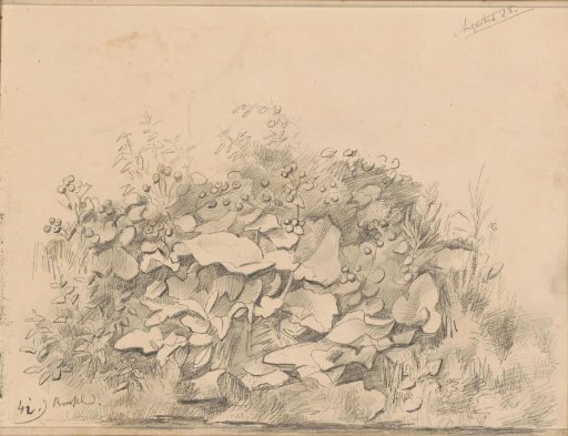 Bank with flowers and plants