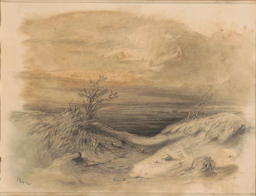 Heath landscape with trees and boulders