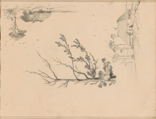 Flowering tree and a farm between the trees