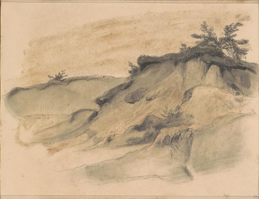Heath landscape
