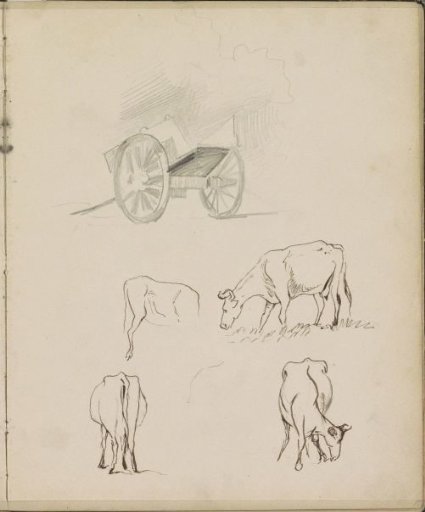 Grazing cows and a cart