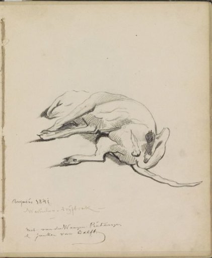 Recumbent dog