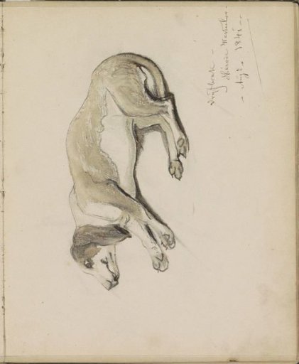 Recumbent dog