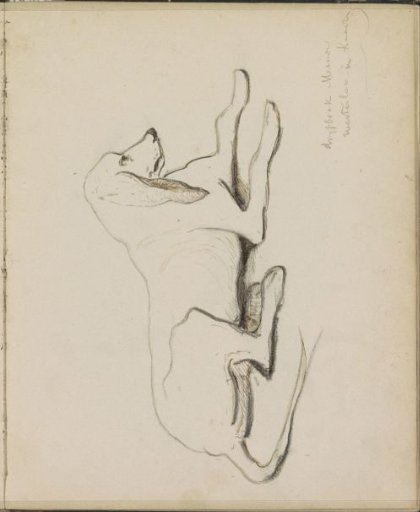 Recumbent dog