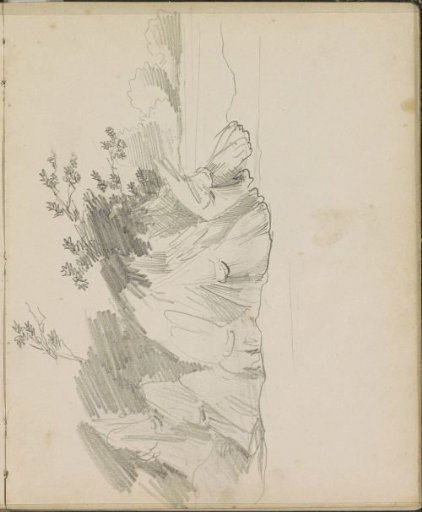 Landscape with Trees