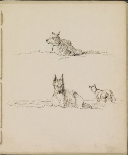 Two Lying and One Standing Dog