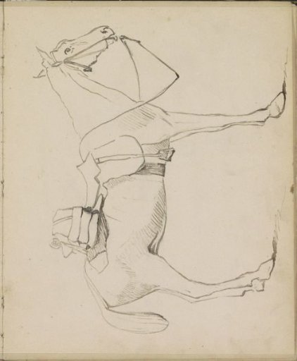 Saddled Horse, Seen from the Side