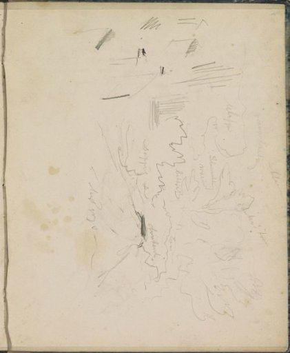 Landscape with trees