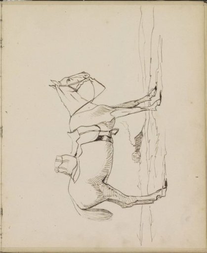 Landscape with a Saddled Horse, Seen from the Side