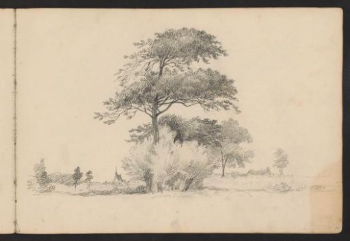 Flat landscape with trees