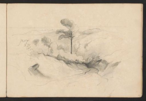 Valley in a hilly landscape with trees