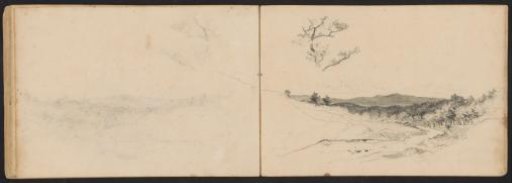 Tree Top and a Figure on a Path in a Heath Landscape