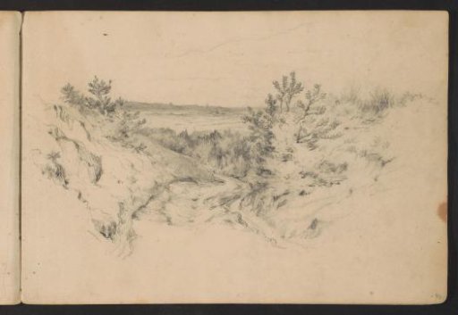 Path in a Heath Landscape