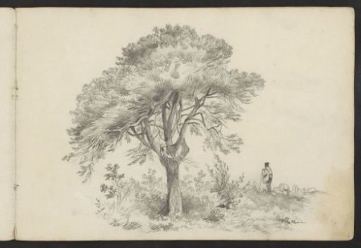 Shepherd by a tree
