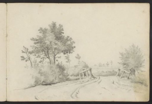 Country road with trees