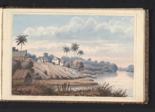 View of the Jodensavanne on the Suriname River