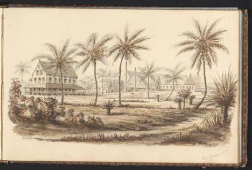 View of the sugar plantation Catharina Sophia