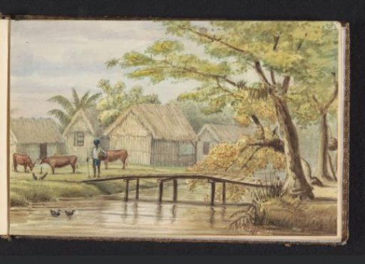 Slave dwellings on the coffee plantation Sorgvliet