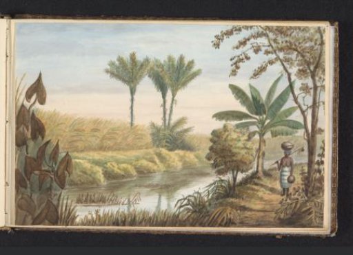 View of a field with the sugar plantation Visserszorg