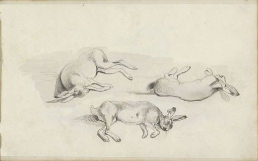 Three dead hares