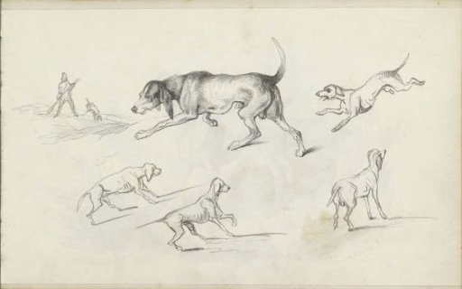 Hunter and dogs