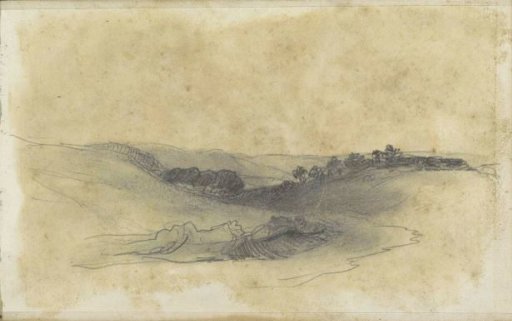 Hilly landscape with trees