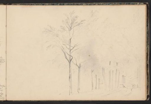 Tree-lined avenue