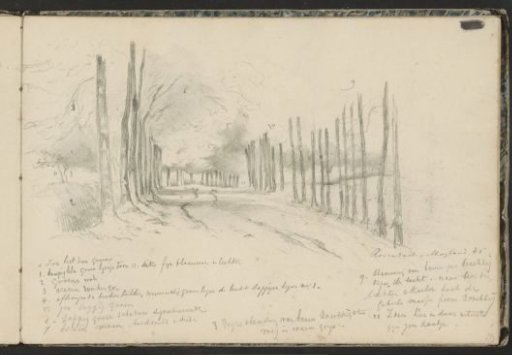 Forest avenue between Rozendaal and Moyland