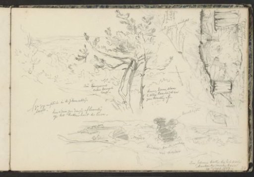 Peat Hut, Beech Tree, and Heath Landscape in the Vicinity of Het Zand near Materborn