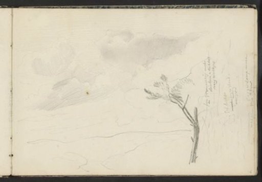 Landscape with a Tree and a Clouded Sky