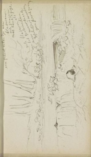 River with geese near an island of leaves
