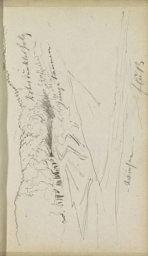 Young spruces by a brook
