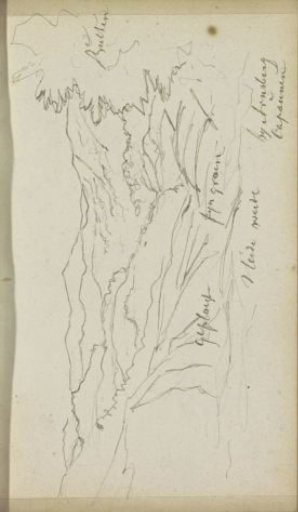 Heath Landscape near Arnsberg