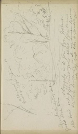 Landscape with Spruces