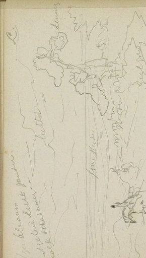 Heath Landscape with Pines