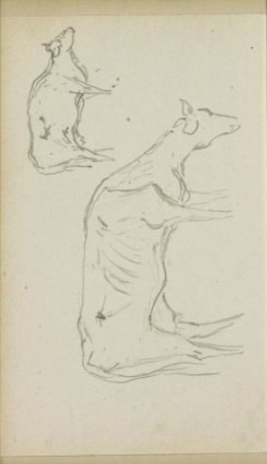 Cows, seen from the side