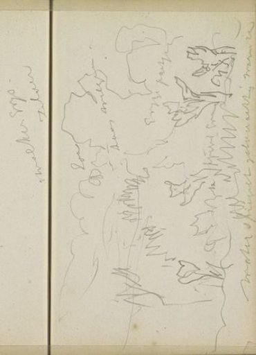 Landscape with water and trees