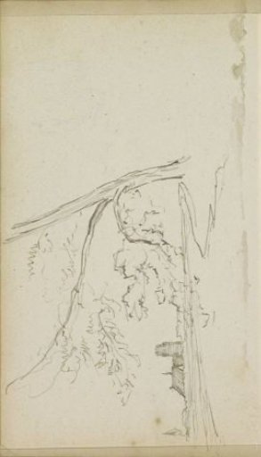 Meadow with houses and a tree