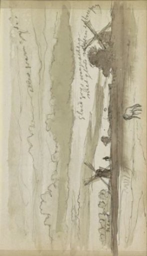 Polder landscape with mills