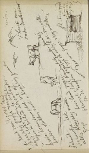 Herons, Cows, and a Barn