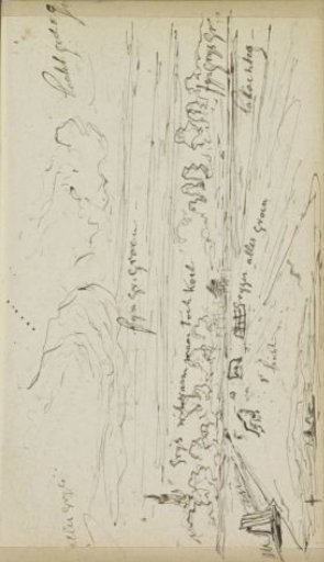Pasture with Grazing Livestock