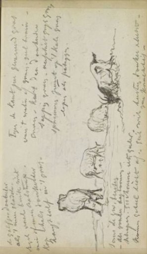 Grazing Sheep and a Goat