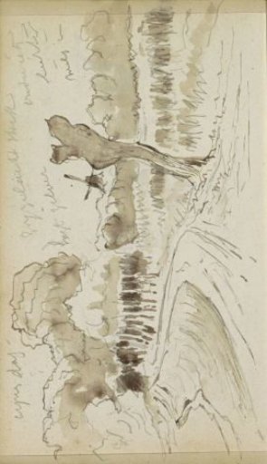Path by a meadow and a forest