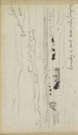 Meadow with cattle